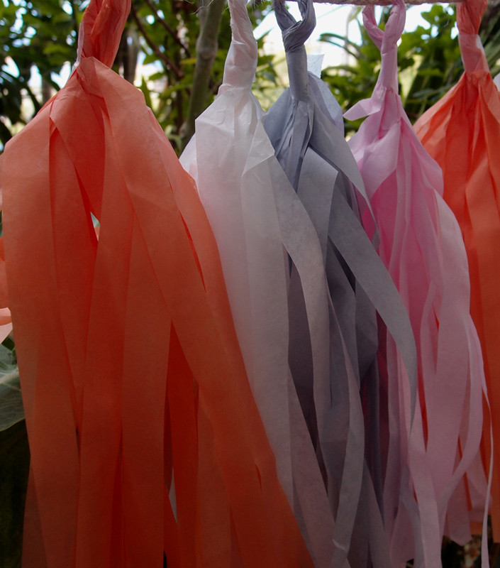 China Tissue Paper Tassel Garland Kit - Powder Mix wholesale