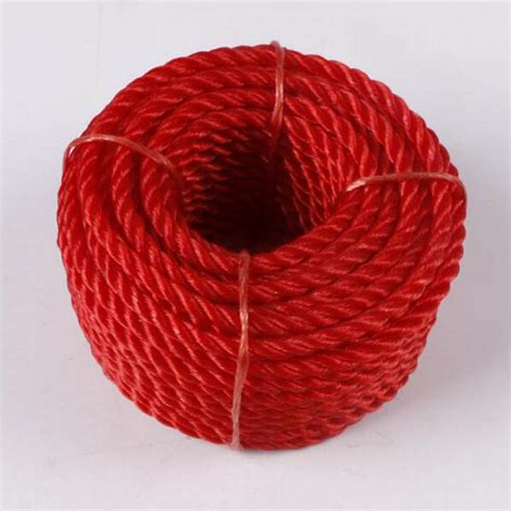 Yellow PP 3mm 4mm 5mm 6mm 8mm Twist Rope Bundling Rope Customized 200m/220m YLY-C029