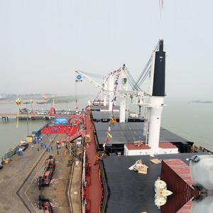China 200 Ton Deck Davit Marine Hydraulic Crane For Harour 50m Height wholesale