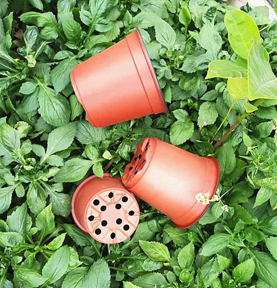Disposable Double Color Flower Pot For Greenhouse And Garden