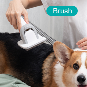 Sustainable Pet Grooming Kit Vacuum Cleaner with Silent Operation and Dust Bag 1L