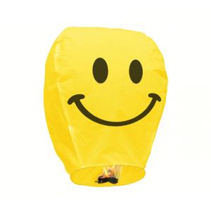 China Paper Biodegradable Sky Lantern wholesale