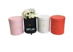 Various Color Paper Tube Packaging Round Large Size For Flower Packaging