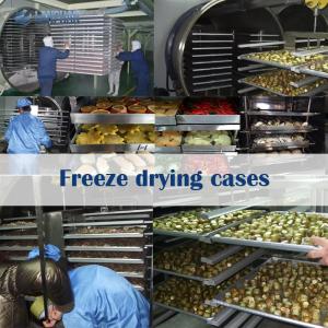 China Food Fruits Vegetables Industrial Drying Machine Large Freeze Dryer Machine Manufacturers wholesale