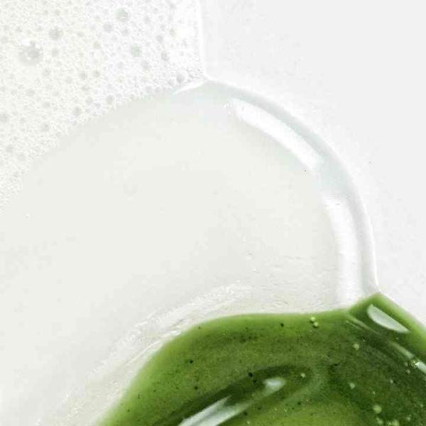 Green Tea Facial Skincare Set Package Face Wash Gel Niacinamide Serum For Oily Skin