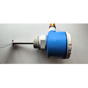 Endress Hauser Fte30 Soliswitch Rotary Paddle Level Switch 230VAC