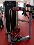 Commercial Gym Equipment Pin-Loaded Obliques Workout Rotary Torso High-End