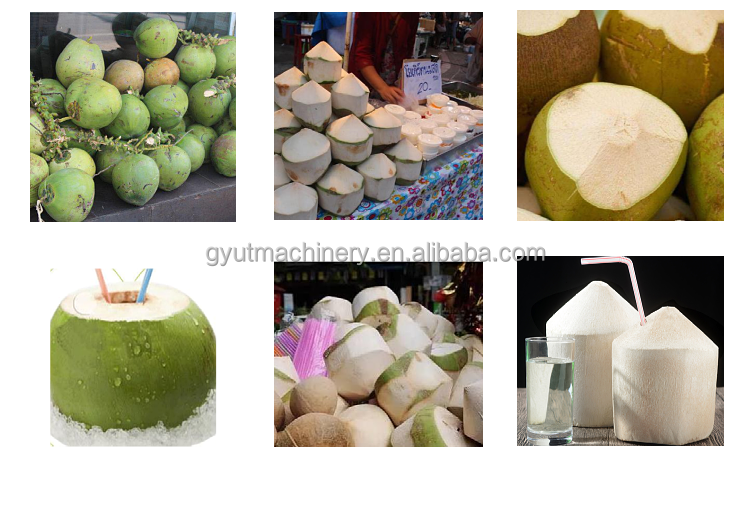 Automatic Coconut Peeling Machine 220V Young Green Coconut Skin Peeler with Timer