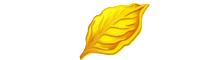 China Yiwu Gold Leaf Imp and Exp Co,. Limited logo