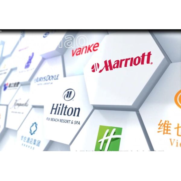 OEM/ODM Customized Elegant Living Room Club Lounge Seating Furniture Collection Sets with Solid Wood