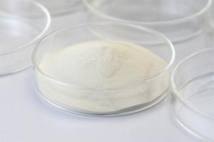 China Food Grade Phospholipase Protein Enzyme Used In Bread Flour Producing wholesale