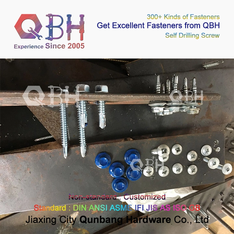 Qbh Customized Truss Wafer Head SDS Screw
