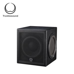 China 10 &quot; Active subwoofer box bass loudspeaker 200W TR10BA wholesale