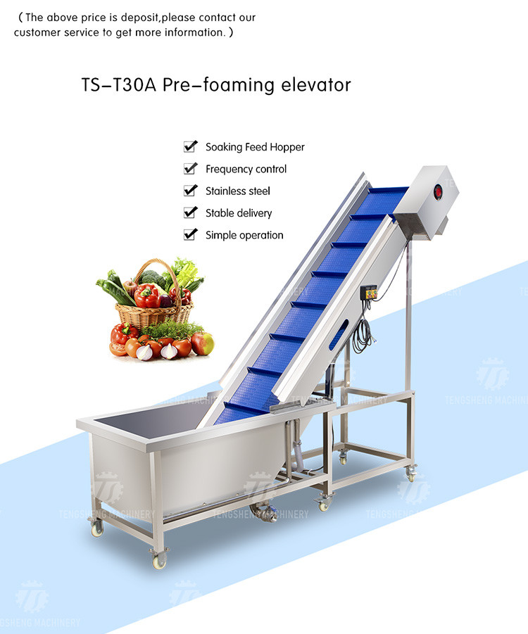 0.375KW Industrial Vegetable Processing Machine Citrus Passion Fruit Pre - Foaming Elevator Machine