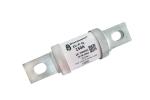 750VDC Electric Vehicle Fuses Low Current 150A ROHs Standard