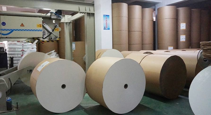 170gsm To 280gsm PE Coating Paper Cup Raw Material Customized