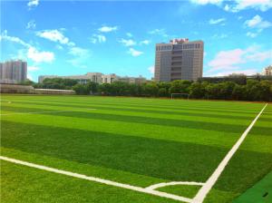 China Professional Playground Synthetic Grass , Playground Synthetic Turf FIFA Standard wholesale