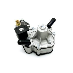 China Larger Internal Passages 110W LPG Pressure Regulator Reducer With Black Solenoid Valve wholesale