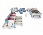 1000gsm Needle Punch Nonwoven Machine Process Carpet Making