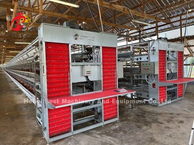 Hot Galvanized Q235 Steel Chicken Battery Cage For Nigeria Ghana Cameroon Chicken Farm Doris