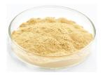 Food Grade Panaxoside Ginseng Extract Powder For Health Products
