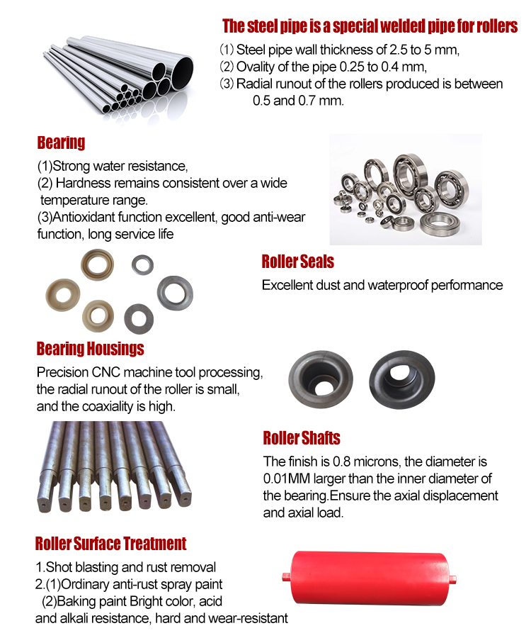 204205305306308000 Bearing Model Standard Conveyor Roller Ends for Material Handling Equipment Parts