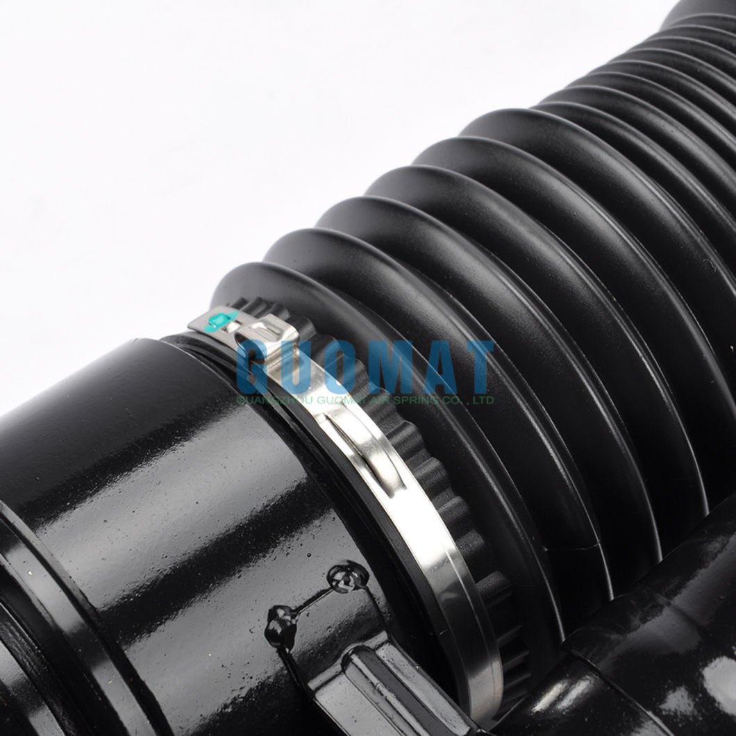 3D0616039 Front Left Air Suspension Spring for Volkswagen Phaeton