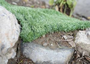 China Double Needle Bar Artificial Grass Machine Raschel Warp Knitting Machine wholesale