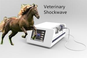 China ESWT 16HZ Horses Shock Wave Therapy Equipment wholesale