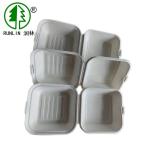 Take Out Burger Bagasse Clamshell Box