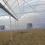 Vegetable Agricultural Tomatoes Dome Roof 7-10m Span Po Film Greenhouse