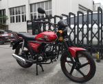 70cc 110cc New Cheap Alpha High Quality 50cc mini bike 4 stroke motorcycle