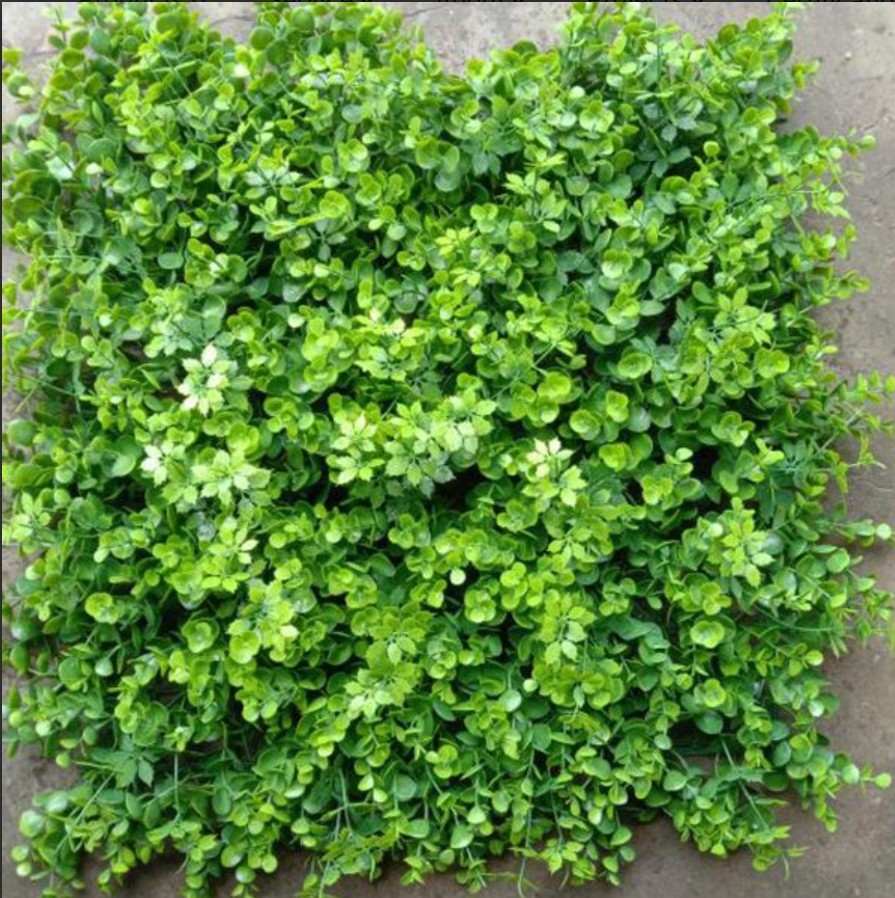 Artificial Wall Grass Enhancing Aesthetic Appeal For Offices Homes Places Like Cafe And Resturants
