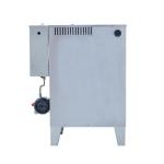 High Pressure Small Scale Steam Generator 48KW Electric Steam Power Generator
