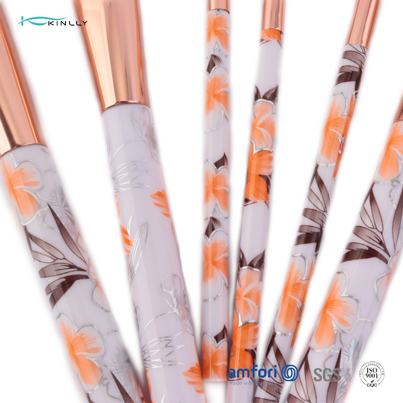 Small 6pcs Plastic Makeup Brushes With PVC Packing Box