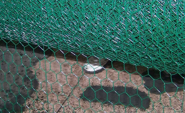 36 Inch Green PVC Coated Chicken Wire Mesh 3/8" 1.6mm Dia For Poultry Fence