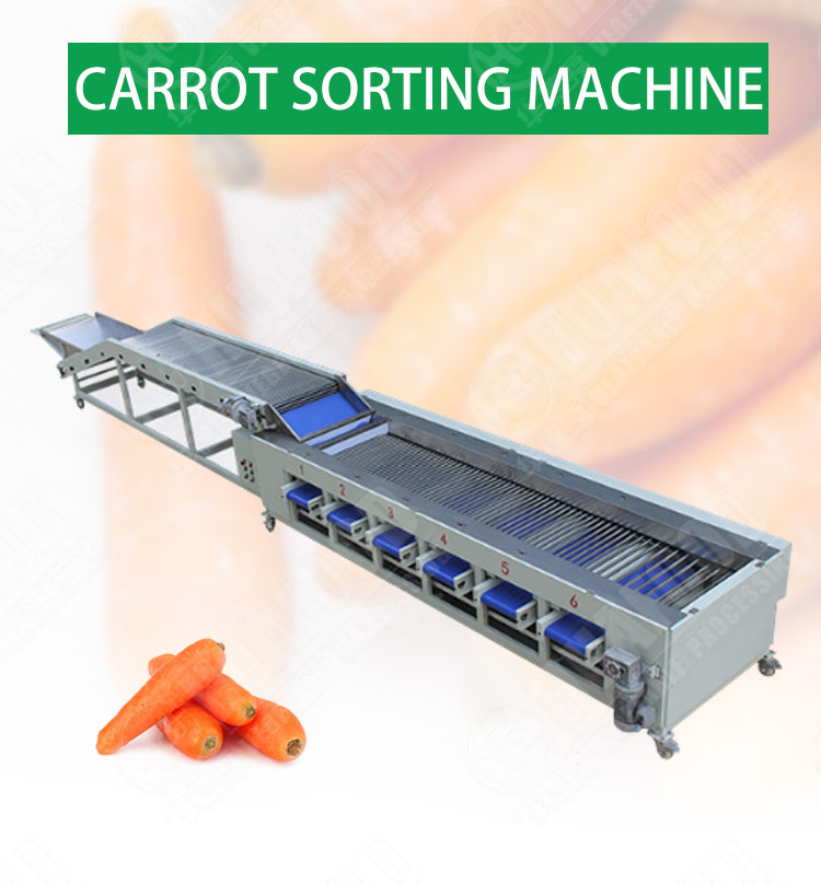 1.85KW Fruit Vegetable Processing Equipment Cucumber Carrot Sorting Machine