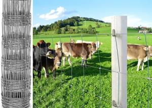 China Protection Electro Galvanized Steel Cattle Fence , Deer / Grassland Wire Fence wholesale