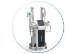 2019 China manufacturer four cryolipolysis machine for sale/criolipolisis