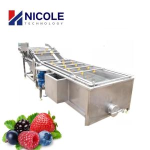 China SUS 304 Bubble Fruit Vegetable Cleaning Machine Multifunctional CE Approved wholesale