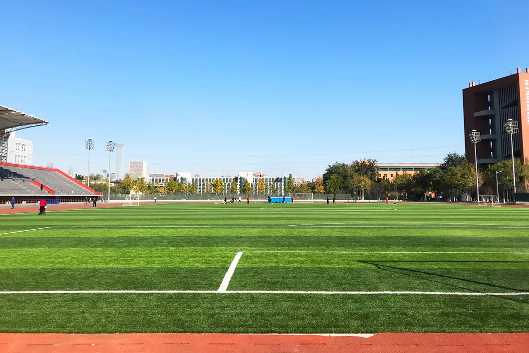 Free Sample Shoe Material Recycled SBR Rubber Granules for Artificial Turf Infills Football Lawn