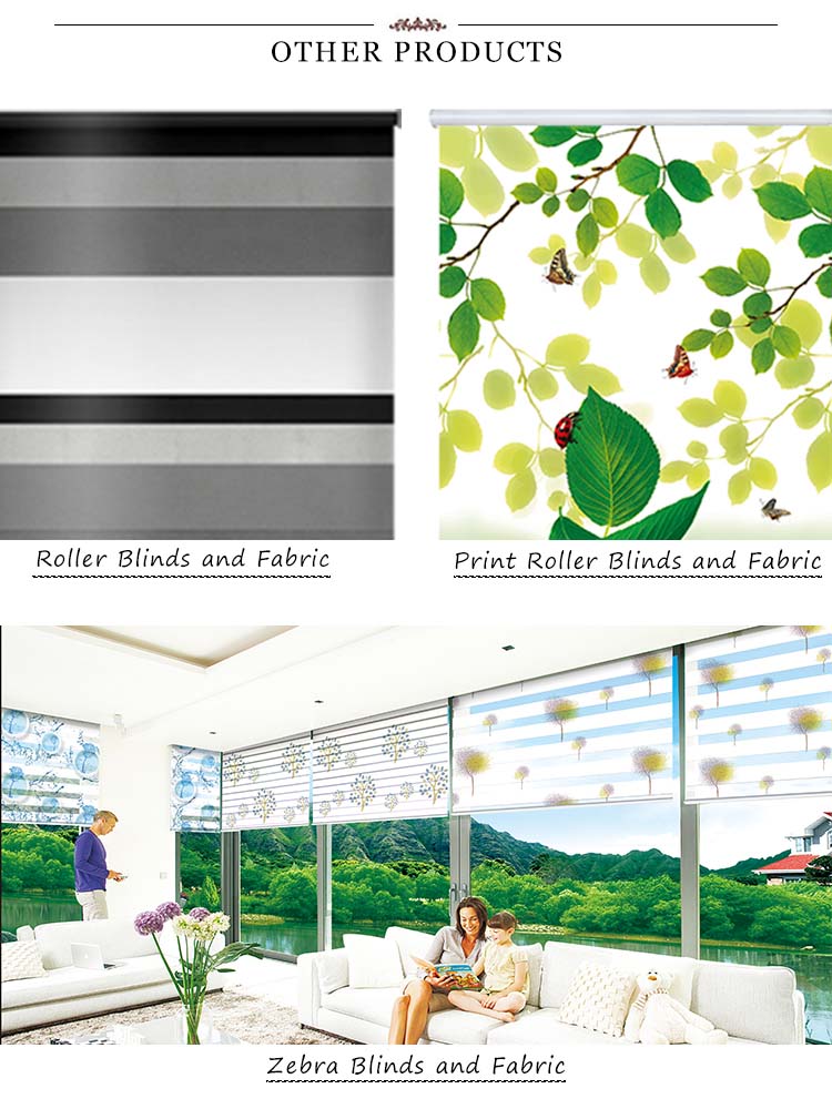 Window blinds,Digital printing roller shades,high quality printed blinds with latest design,zebra roller blinds fabric