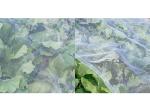 Insect-Proof Net, Crops Protection Net Against Insects And Pests