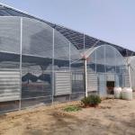 Large Agroculture Plastic Film Coverd Transparent 200 Micron Multi Span