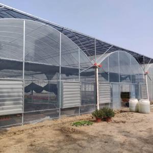 China Polyethylene Film Multi Span Greenhouse Agricultural Commercial Industrial wholesale