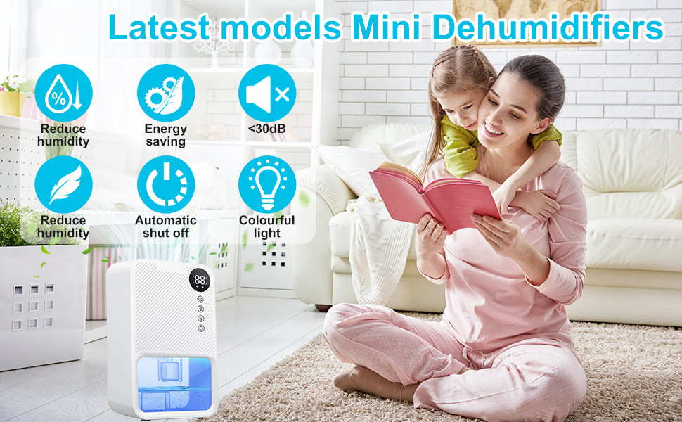 Intelligent Visible Dehumidifier for Moisture-Proof and Bedroom Drying in Small Spaces