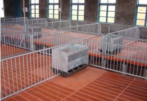China Pig project- nursery pen wholesale