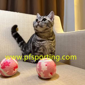 China large dog tennis ball wholesale