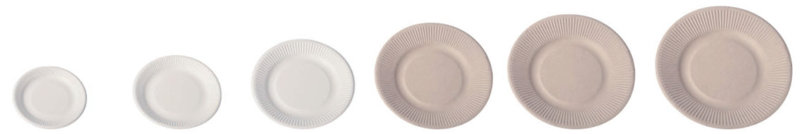 Compostable Biodegradable Disposable 9inch 10inch Sugarcane Sugar Cane Bagasse Party Dinner Plate