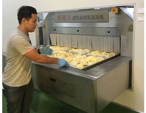 DJL High Quality Food Iqf Quick-Freezing Equipment Tunnel Freezer For Seafood